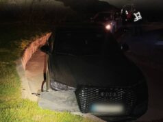 У Луцьку нетверезий водій намагався втекти від патрульних та вчинив ДТП У-Луцьку-нетверезий-водій-намагався-втекти-від-патрульних-та-вчинив-ДТП