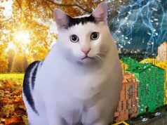 Штормовий вітер, сніг та нашестя циклонів: синоптики попередили про різку зміну погоди в Україні Штормовий-вітер,-сніг-та нашестя-циклонів:-синоптики-попередили-про-різку-зміну-погоди-в Україні