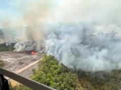 Лісові пожежі в Джорджії: знищено понад 120 будинків, ситуація залишається критичною У-Джорджії-масштабні-пожежі-знищили-понад-120-будинків,-ситуація-залишається-критичною