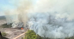 Лісові пожежі в Джорджії: знищено понад 120 будинків, ситуація залишається критичною У-Джорджії-масштабні-пожежі-знищили-понад-120-будинків,-ситуація-залишається-критичною