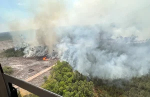 Лісові пожежі в Джорджії: знищено понад 120 будинків, ситуація залишається критичною У-Джорджії-масштабні-пожежі-знищили-понад-120-будинків,-ситуація-залишається-критичною