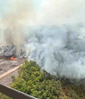 У-Джорджії-масштабні-пожежі-знищили-понад-120-будинків,-ситуація-залишається-критичною