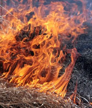 На-Волині-судили-маму,-бо-син-підпалив-суху-траву