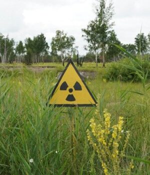 Через-40-років-після-Чорнобиля:-експерти-дали-нові-оцінки-смертності-та-ризиків