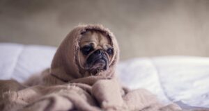 27 квітня похолодання охопить уже всю Україну: температура впаде до +7° 27-квітня-похолодання-охопить-уже-всю-Україну:-температура-впаде-до-+7°