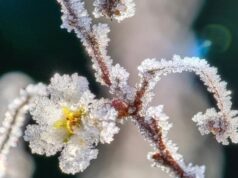 Штормовий вітер і заморозки: Україну накриє небезпечна погода до кінця квітня Штормовий-вітер-і-заморозки:-Україну-накриє-небезпечна-погода-до-кінця-квітня