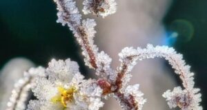 Штормовий вітер і заморозки: Україну накриє небезпечна погода до кінця квітня Штормовий-вітер-і-заморозки:-Україну-накриє-небезпечна-погода-до-кінця-квітня