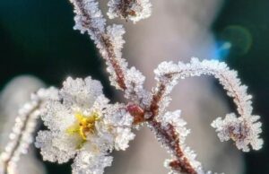 Штормовий вітер і заморозки: Україну накриє небезпечна погода до кінця квітня Штормовий-вітер-і-заморозки:-Україну-накриє-небезпечна-погода-до-кінця-квітня