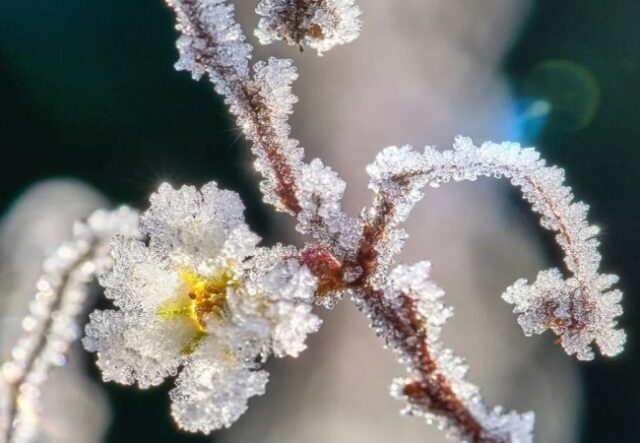 Штормовий вітер і заморозки: Україну накриє небезпечна погода до кінця квітня Штормовий-вітер-і-заморозки:-Україну-накриє-небезпечна-погода-до-кінця-квітня