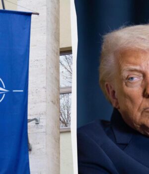 НАТО-планує-відмовитися-від-щорічних-самітів,-щоб-уникнути-конфліктів-із-Трампом,-–-reuters