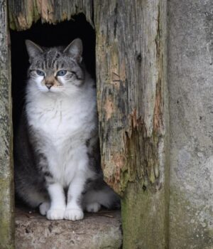 Тепла-не-чекайте:-28-квітня-по-всій-Україні-буде-холодно