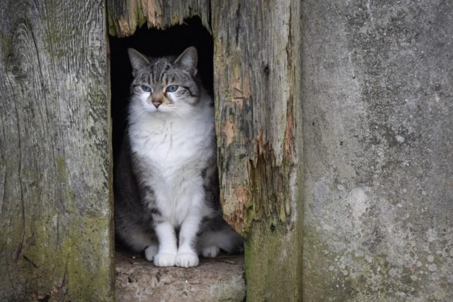 Тепла не чекайте: 28 квітня по всій Україні буде холодно Тепла-не-чекайте:-28-квітня-по-всій-Україні-буде-холодно