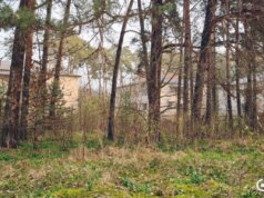 На Волині поліція розслідує передачу 8,6 га землі під Луцьком родинній фірмі нардепа Палиці На-Волині-поліція-розслідує-передачу-8,6-га-землі-під-Луцьком-родинній-фірмі-нардепа-Палиці