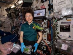 Астронавтка NASA показала, як вчилася ходити після місії біля Місяця (фото) Астронавтка-nasa-показала,-як-вчилася-ходити-після-місії-біля-Місяця-(фото)