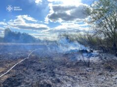 На Волині через людську недбалість горіло 4 га трави та чагарників На-Волині-через-людську-недбалість-горіло-4-га-трави-та-чагарників