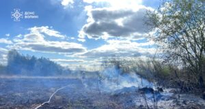 На Волині через людську недбалість горіло 4 га трави та чагарників На-Волині-через-людську-недбалість-горіло-4-га-трави-та-чагарників