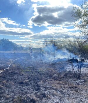 На-Волині-через-людську-недбалість-горіло-4-га-трави-та-чагарників