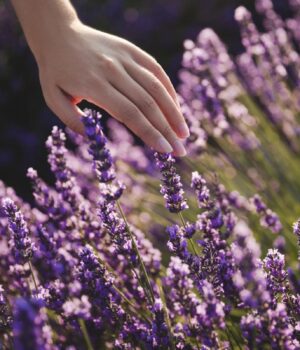 Красиві-та-невибагливі:-садівниця-назвала-рослини,-які-будуть-рости-на-важкому-ґрунті