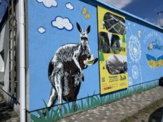 На Полтавщині невідома тварина загризла кенгуру та оленів. Місцеві звинувачують чупакабру На-Полтавщині-невідома-тварина-загризла-кенгуру-та-оленів.-Місцеві-звинувачують-чупакабру