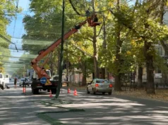 Антидронові сітки на Херсонщині планують завершити до середини 2027 року Антидронові сітки на Херсонщині планують завершити до середини 2027 року