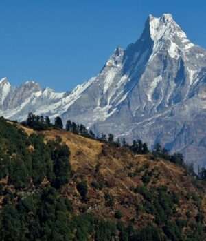 Снігові-вершини-Гімалаїв-змінюють-колір:-це-викликає-занепокоєння-серед-вчених