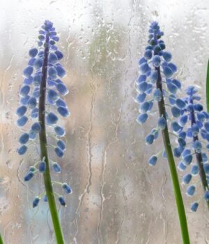 Квітень-в-Україні-завершиться-холодом-і-дощами