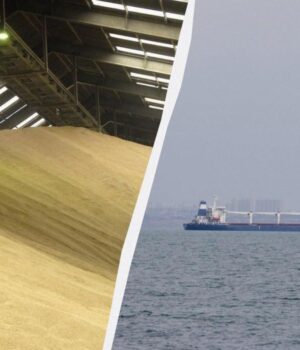 Ізраїльський-імпортер-відмовився-від-судна-з-викраденим-українським-зерном,-–-ЗМІ