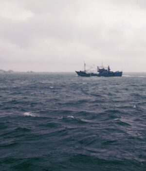 Океани-Землі-переповнені-“темними-кораблями”:-експерти-попередили-про-глобальну-загрозу Океани-Землі-переповнені-“темними-кораблями”:-експерти-попередили-про-глобальну-загрозу