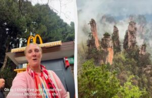 У мережі показали McDonald’s із “найкращими краєвидами у світі”: де він розташований У-мережі-показали-mcdonald’s-із-“найкращими-краєвидами-у-світі”:-де-він-розташований