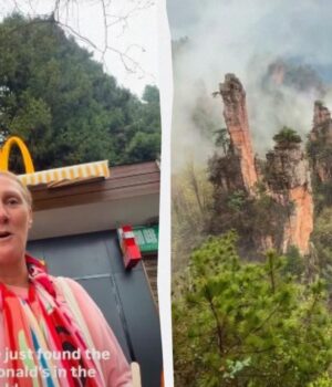 У-мережі-показали-mcdonald’s-із-“найкращими-краєвидами-у-світі”:-де-він-розташований