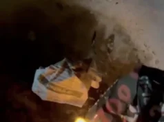 Протест у Брянську: невідомі знищують мобілізаційні плакати У-брянську-невідомі-масово-нищать-плакати-із-закликами-до-мобілізації-в-армію-рф