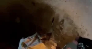 Протест у Брянську: невідомі знищують мобілізаційні плакати У-брянську-невідомі-масово-нищать-плакати-із-закликами-до-мобілізації-в-армію-рф