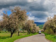 3 травня до України прийде 20-градусне тепло 3-травня-до-України-прийде-20-градусне-тепло