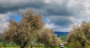 3 травня до України прийде 20-градусне тепло 3-травня-до-України-прийде-20-градусне-тепло