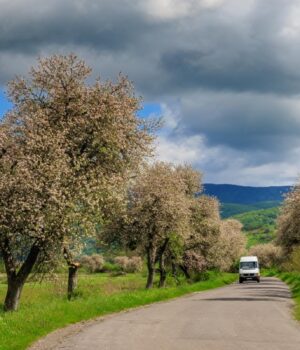 3-травня-до-України-прийде-20-градусне-тепло