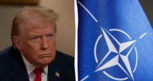 НАТО розпадається: The Times назвало головну загрозу виведення військ США з Німеччини НАТО-розпадається:-the-times-назвало-головну-загрозу-виведення-військ-США-з-Німеччини