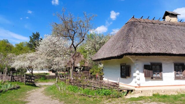 Садок вишневий коло хати: травень – ідеальний час завітати до музею в Пирогові Садок-вишневий-коло-хати:-травень-–-ідеальний-час-завітати-до-музею-в-Пирогові