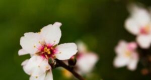 Тепло до +27°C і грози наприкінці тижня: якою буде погода на Волині Тепло-до-+27°c-і-грози-наприкінці-тижня:-якою-буде-погода-на-Волині