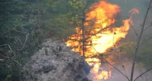 На Закарпатті поблизу Воловця горять 75 гектарів лісу, вогонь гасять 250 людей На Закарпатті поблизу Воловця горять 75 гектарів лісу, вогонь гасять 250 людей