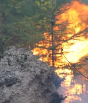 На Закарпатті поблизу Воловця горять 75 гектарів лісу, вогонь гасять 250 людей