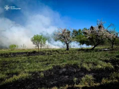 На Львівщині жінка отримала опіки під час пожежі сухостою — ДСНС На Львівщині жінка отримала опіки під час пожежі сухостою — ДСНС