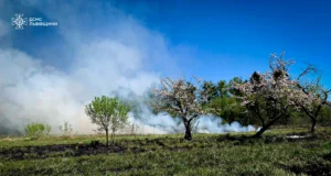 На Львівщині жінка отримала опіки під час пожежі сухостою — ДСНС На Львівщині жінка отримала опіки під час пожежі сухостою — ДСНС