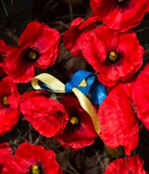 Обмеження-на-9-травня:-Берлін-вводить-заборону-на-символіку-СРСР-та-РФ