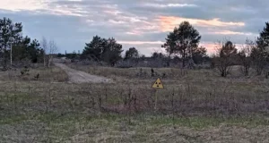Підприємці незаконно засіяли радіаційні землі Чорнобильського заповідника Підприємці незаконно засіяли радіаційні землі Чорнобильського заповідника