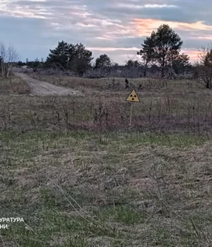 Підприємці незаконно засіяли радіаційні землі Чорнобильського заповідника