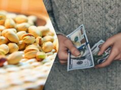 Фісташки різко подорожчали через війну в Ірані: на що переходять споживачі Фісташки-різко-подорожчали-через-війну-в-Ірані:-на-що-переходять-споживачі