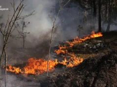 Пожежі у Зоні відчуження охопили понад 1100 гектарів Пожежі у Зоні відчуження охопили понад 1100 гектарів