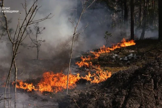 Пожежі у Зоні відчуження охопили понад 1100 гектарів Пожежі у Зоні відчуження охопили понад 1100 гектарів