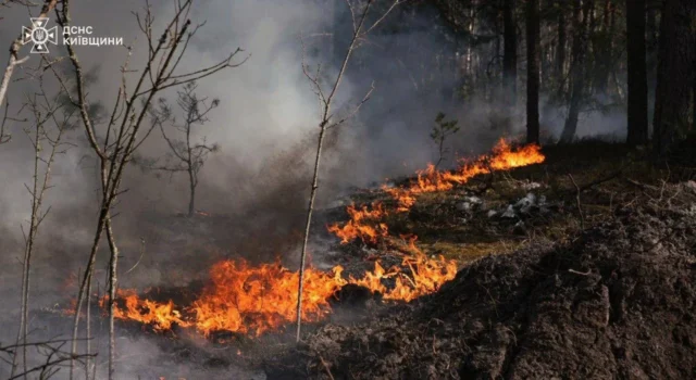 Пожежі у Зоні відчуження охопили понад 1100 гектарів Пожежі у Зоні відчуження охопили понад 1100 гектарів