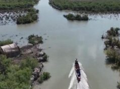 У річках Іраку стало більше води: Reuters пише про відновлення біблійних боліт Едему У-річках-Іраку-стало-більше-води:-reuters-пише-про-відновлення-біблійних-боліт-Едему